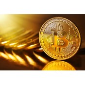 Bitcoin Gold (0)